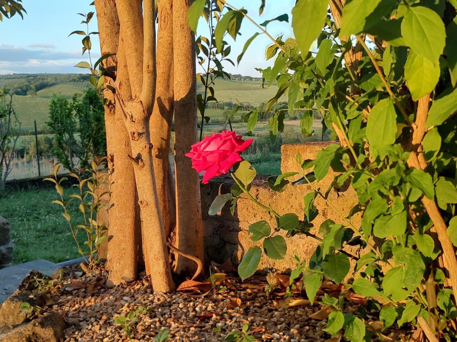 Il Giardino Del Chianti Apartman Siena Kültér fotó