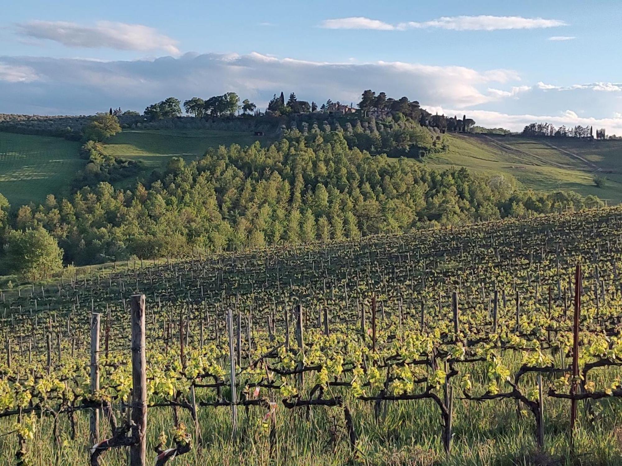 Il Giardino Del Chianti Apartman Siena Kültér fotó